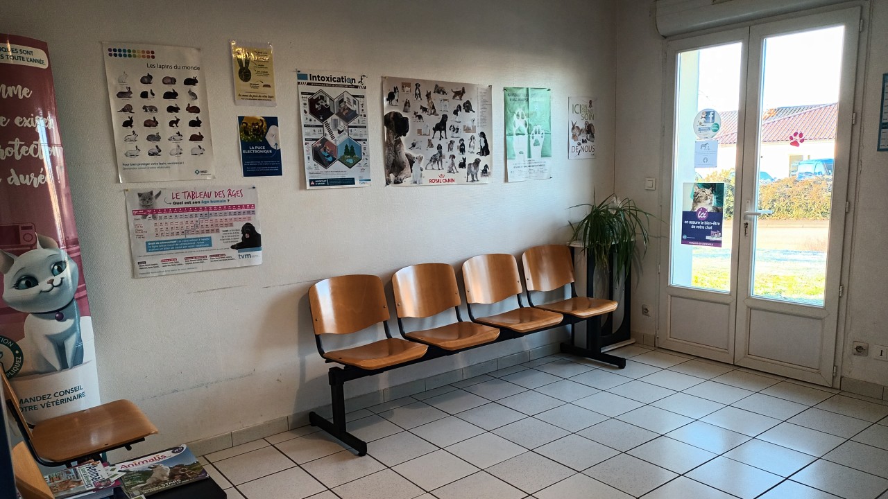 Salle d'attente